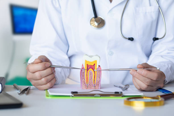 Best Emergency Root Canal Treatment in Waynesburg, PA